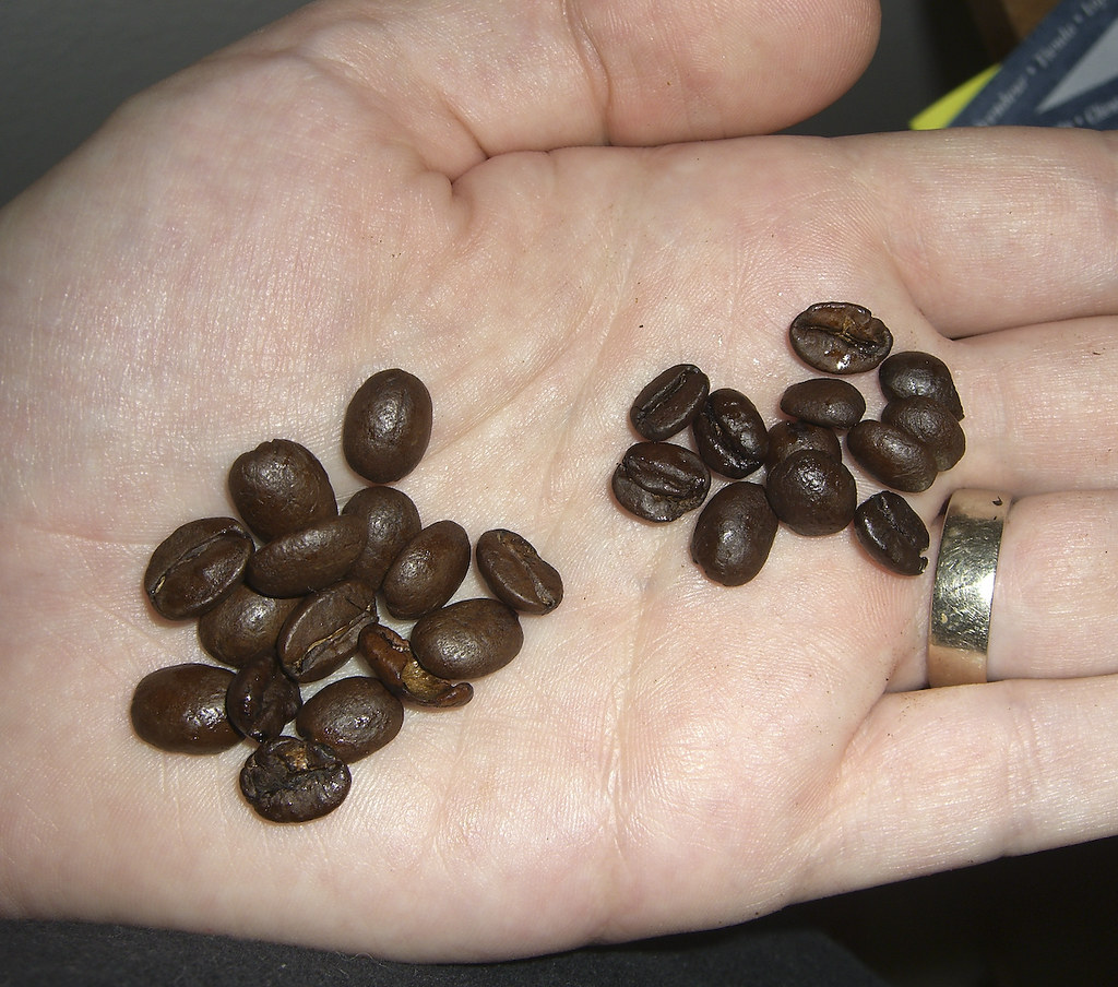 Sacs de café en grains prêts à la vente à la brûlerie